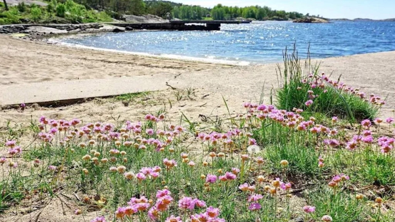 Photo of Others in Lokholmen