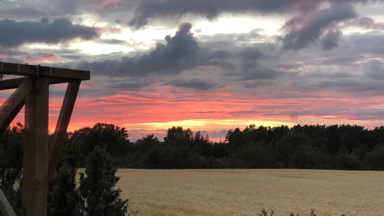 Photo of Others in Klintehamn