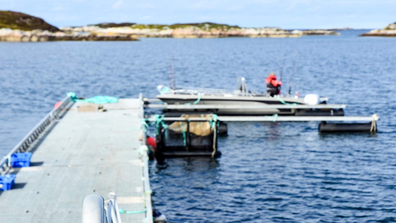 Photo of Others in Dyrvik
