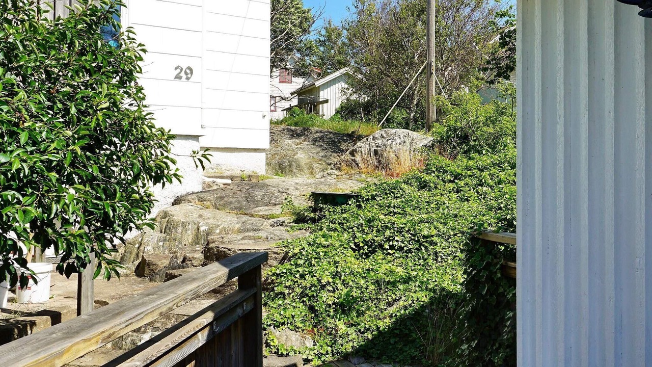Photo of Outdoor in Foto