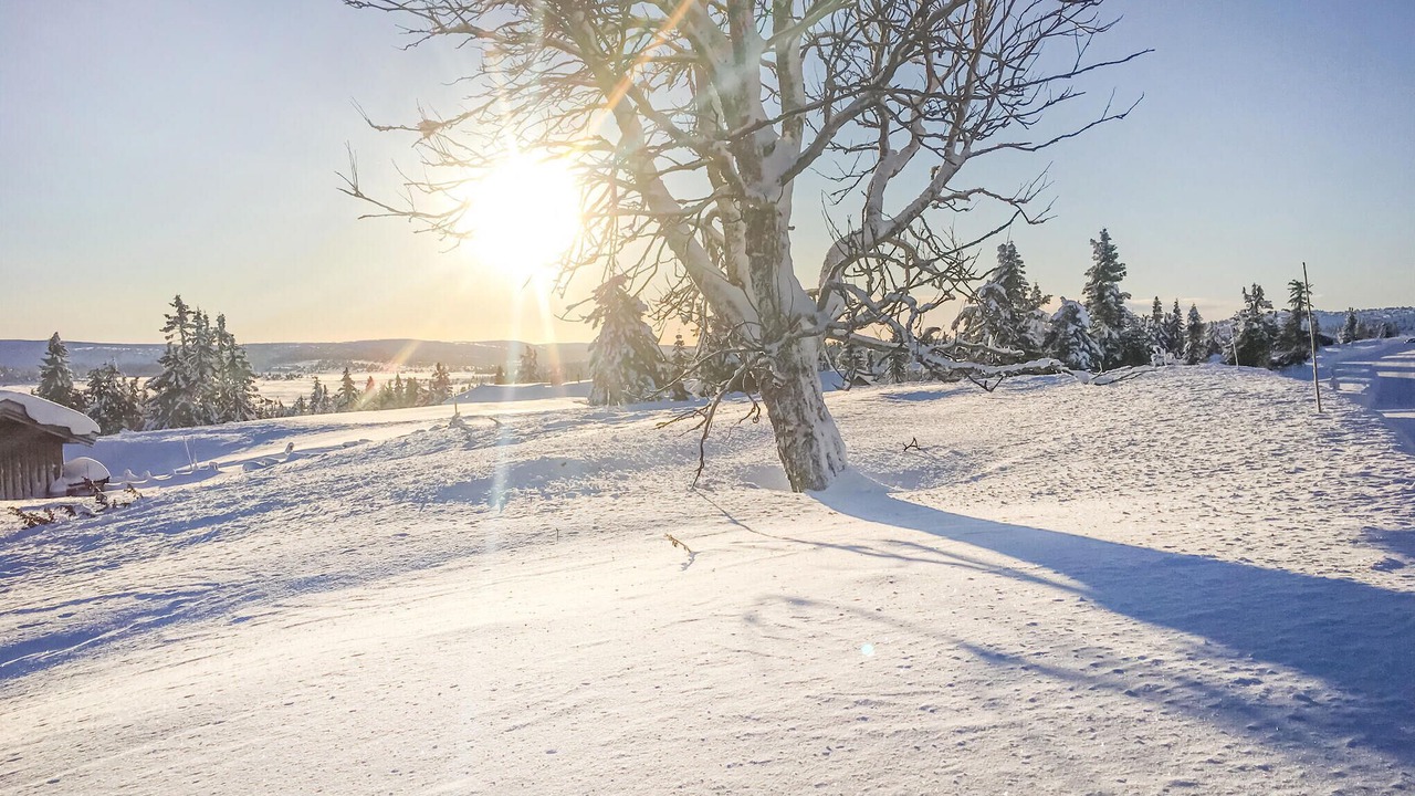Photo of Others in Sjusjoen