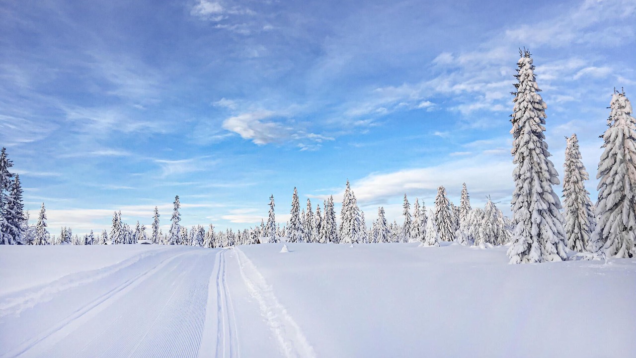 Photo of Others in Sjusjoen
