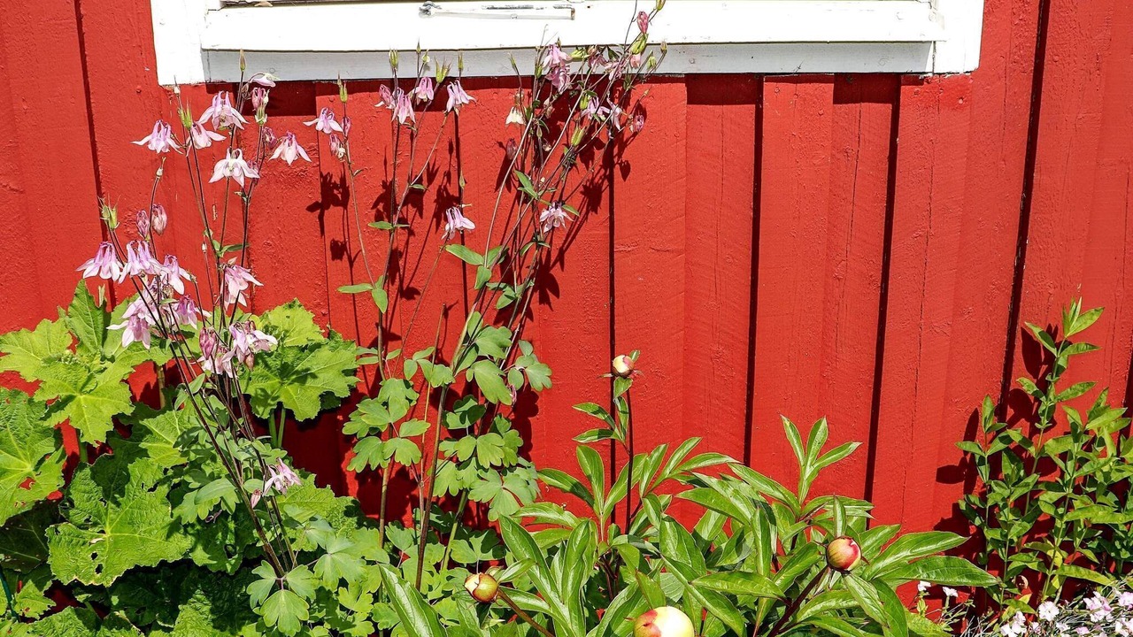 Photo of Outdoor in Sloinge