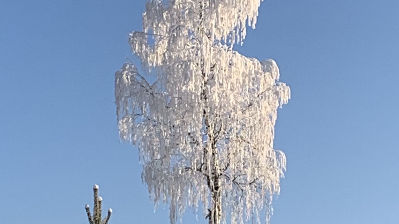Photo of Outdoor in Nattavaara