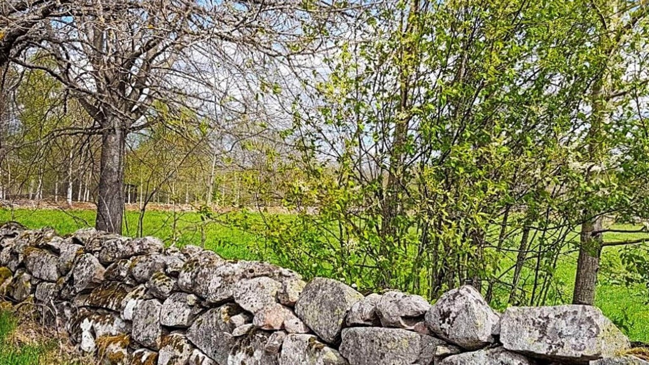 Photo of Outdoor in Softestorp