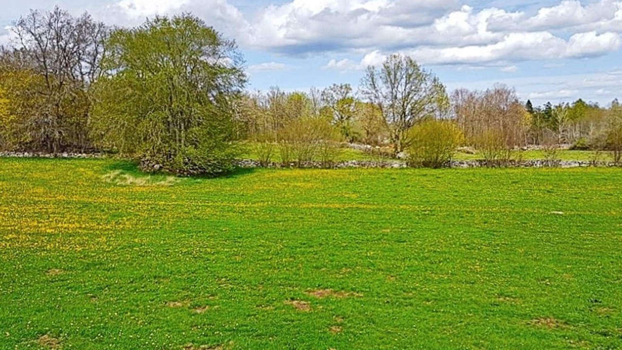 Photo of Others in Softestorp