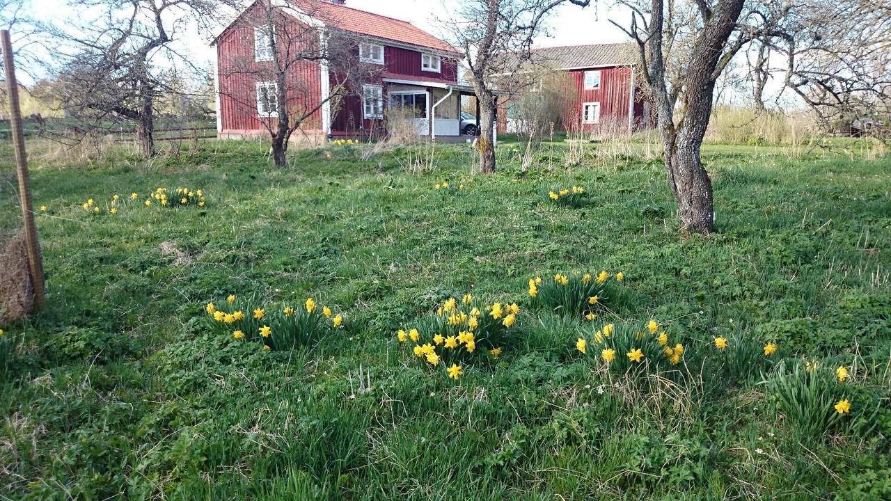 Photo of Outdoor in Lonneberga