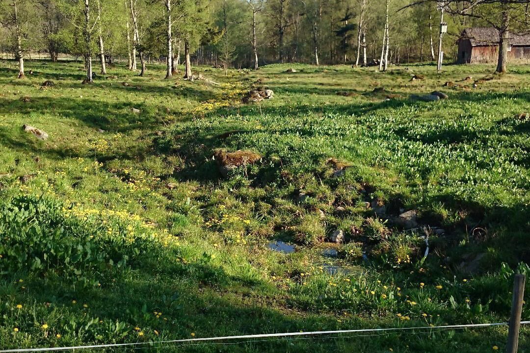 Photo of Others in Lonneberga