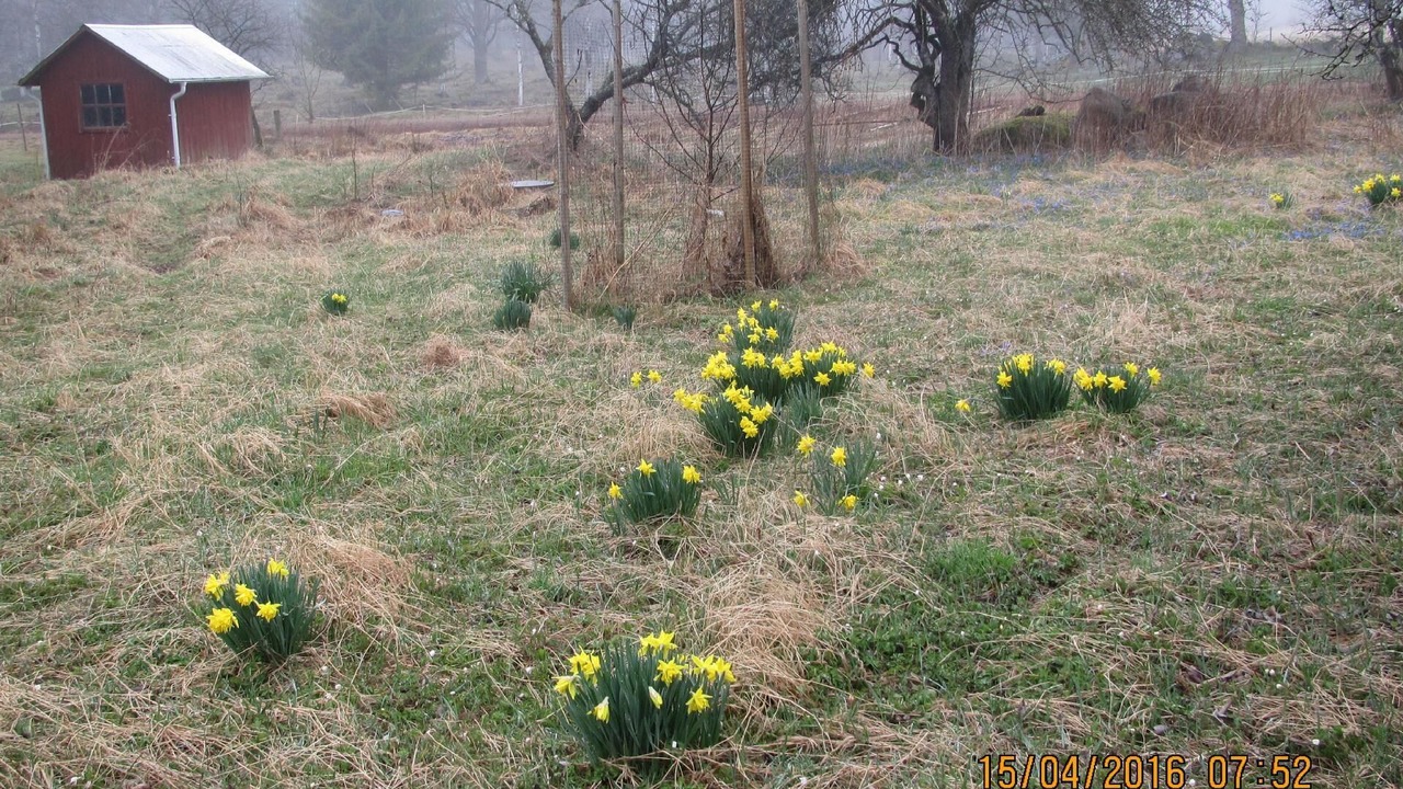 Photo of Others in Lonneberga