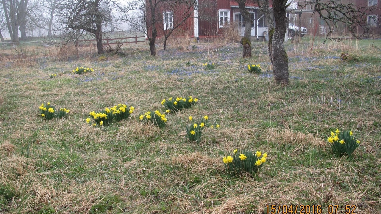Photo of Outdoor in Lonneberga