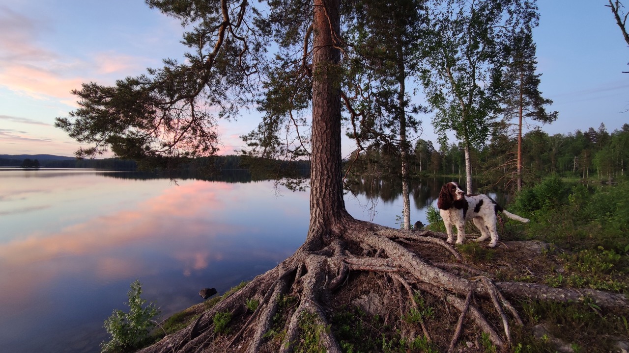 Photo of Outdoor in Sater Municipality