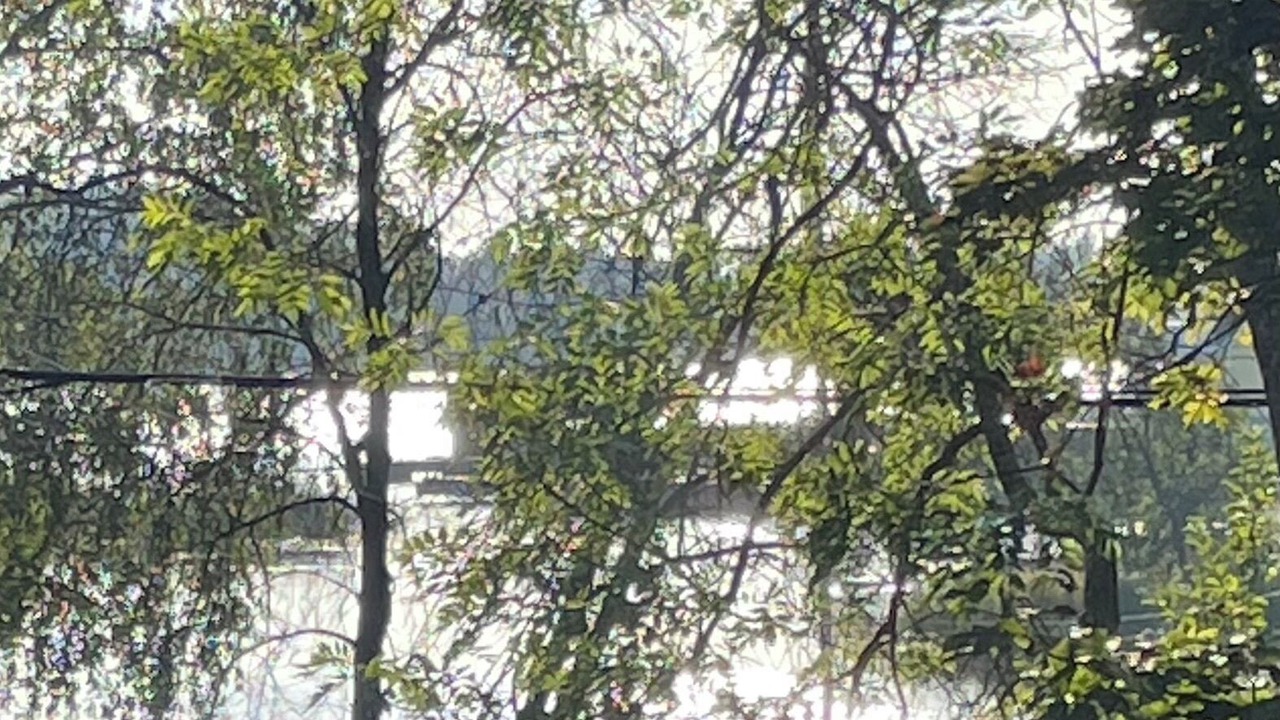 Photo of Others in Vaxholm