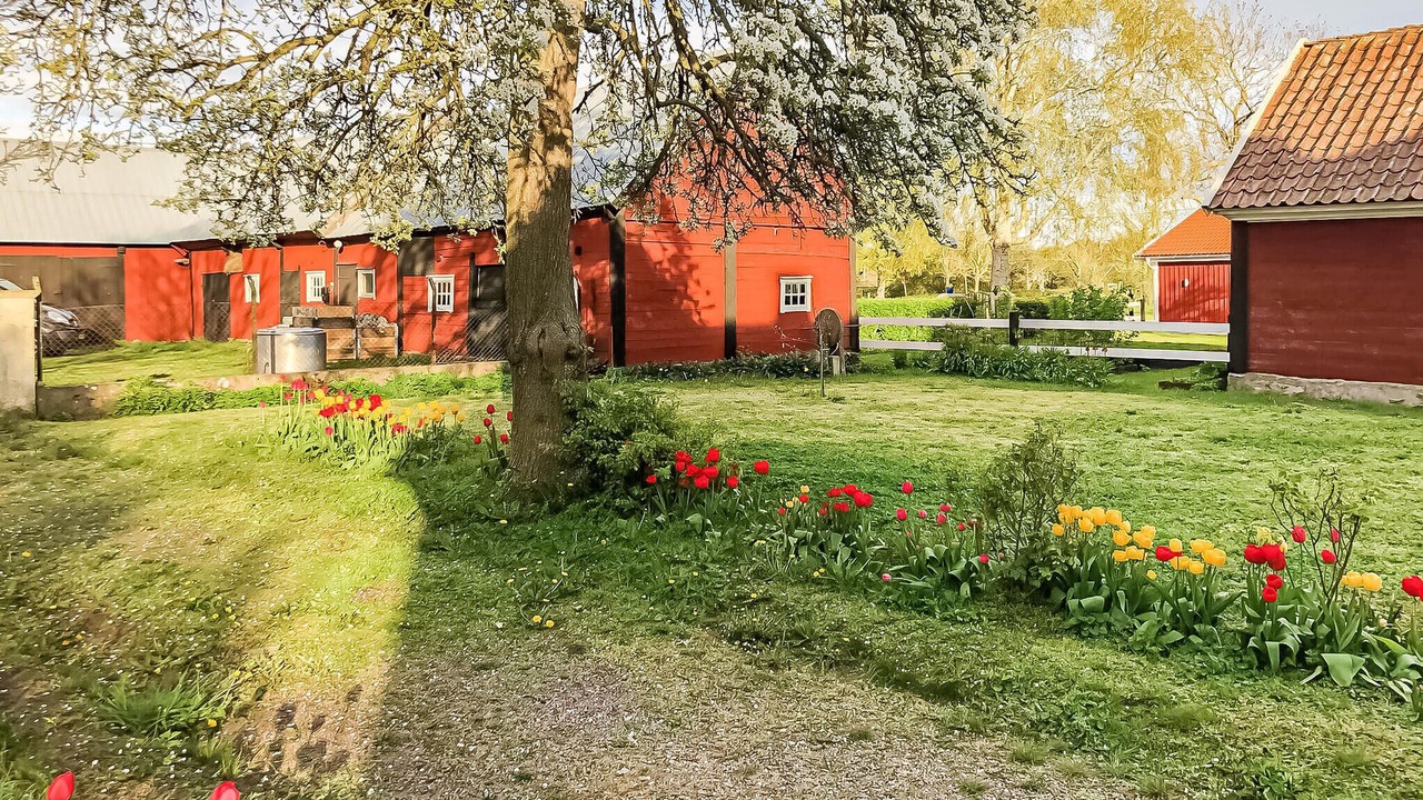 Photo of Others in Kopingsvik