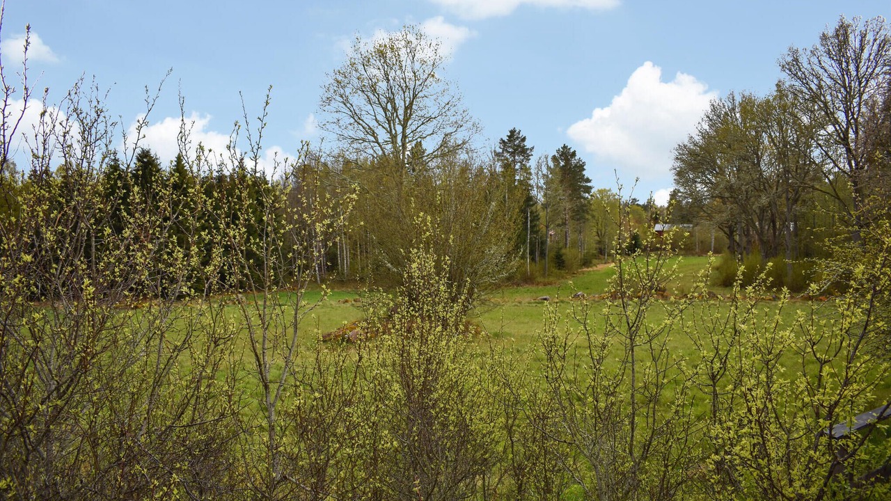 Photo of Others in Odeshog Municipality