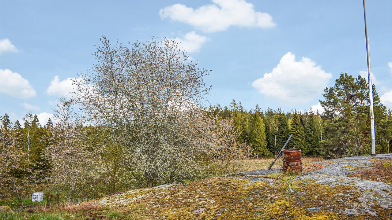 Photo of Others in Odeshog Municipality