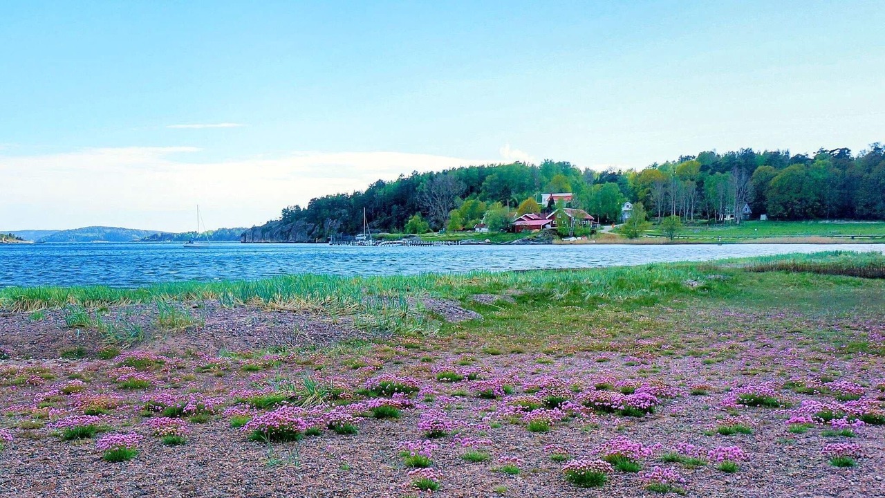 Photo of Others in Uddevalla Municipality