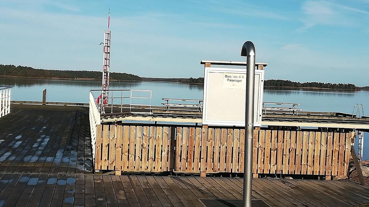 Photo of Outdoor in Monsteras