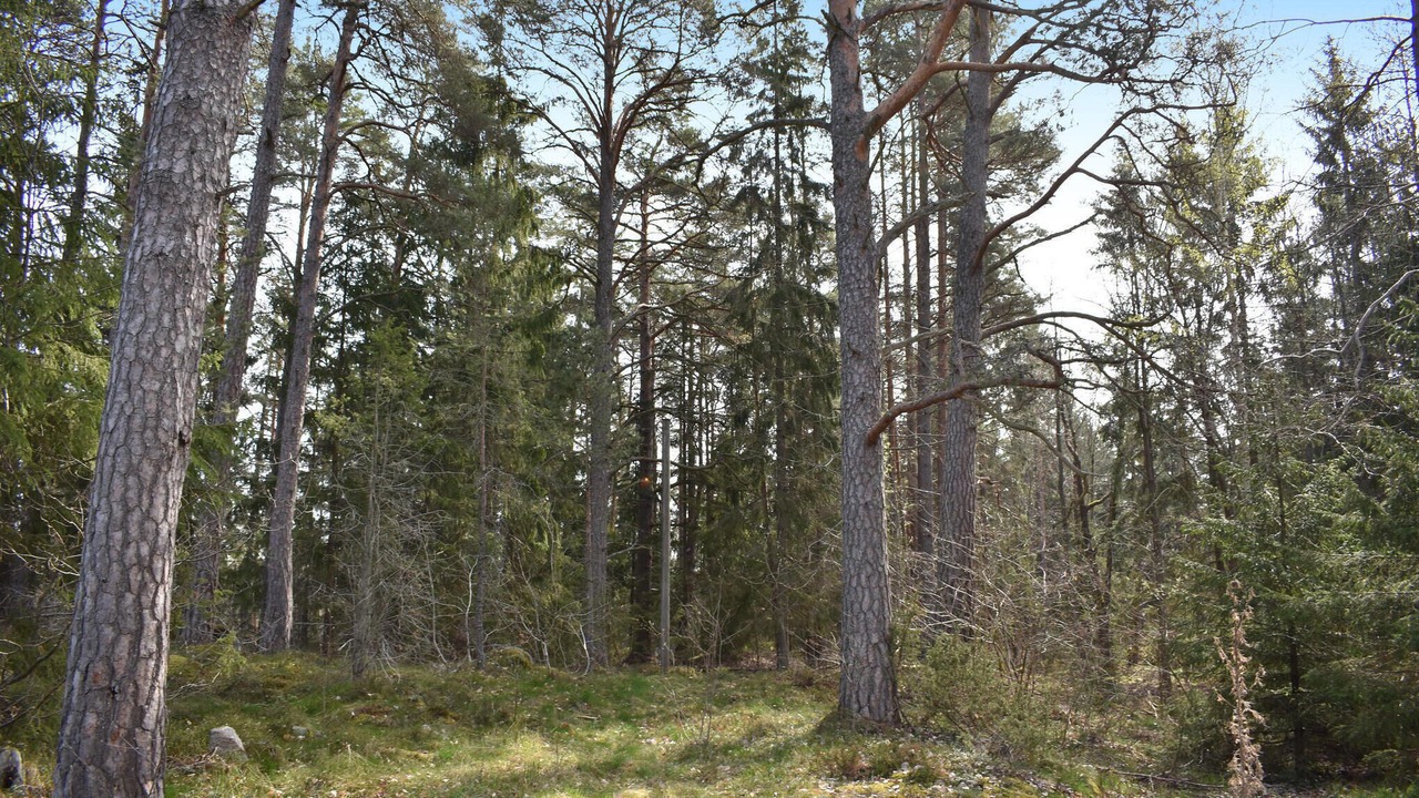 Photo of Others in Soderkoping Municipality