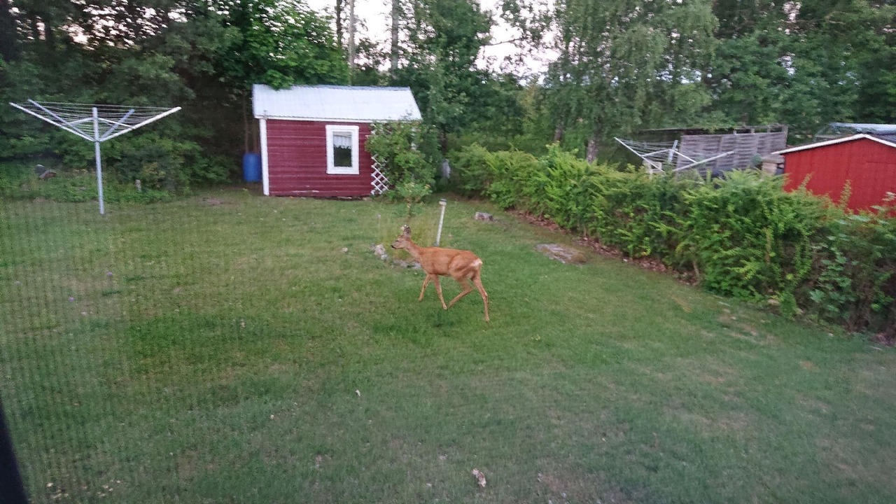 Photo of Outdoor in Virserum