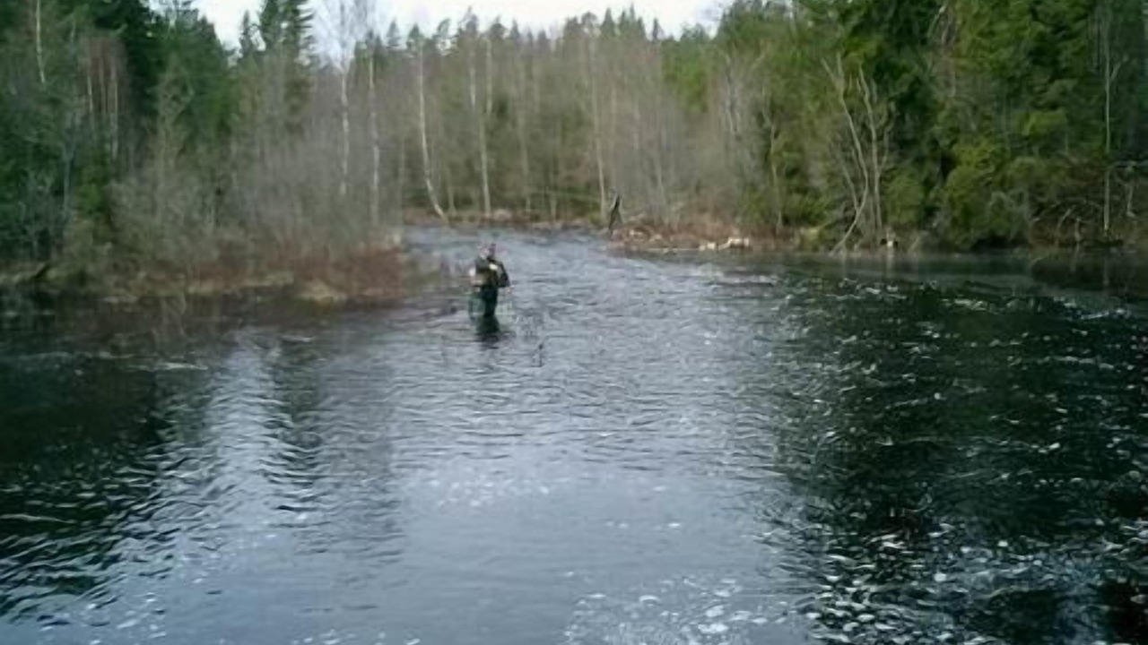 Photo of Others in Tofta