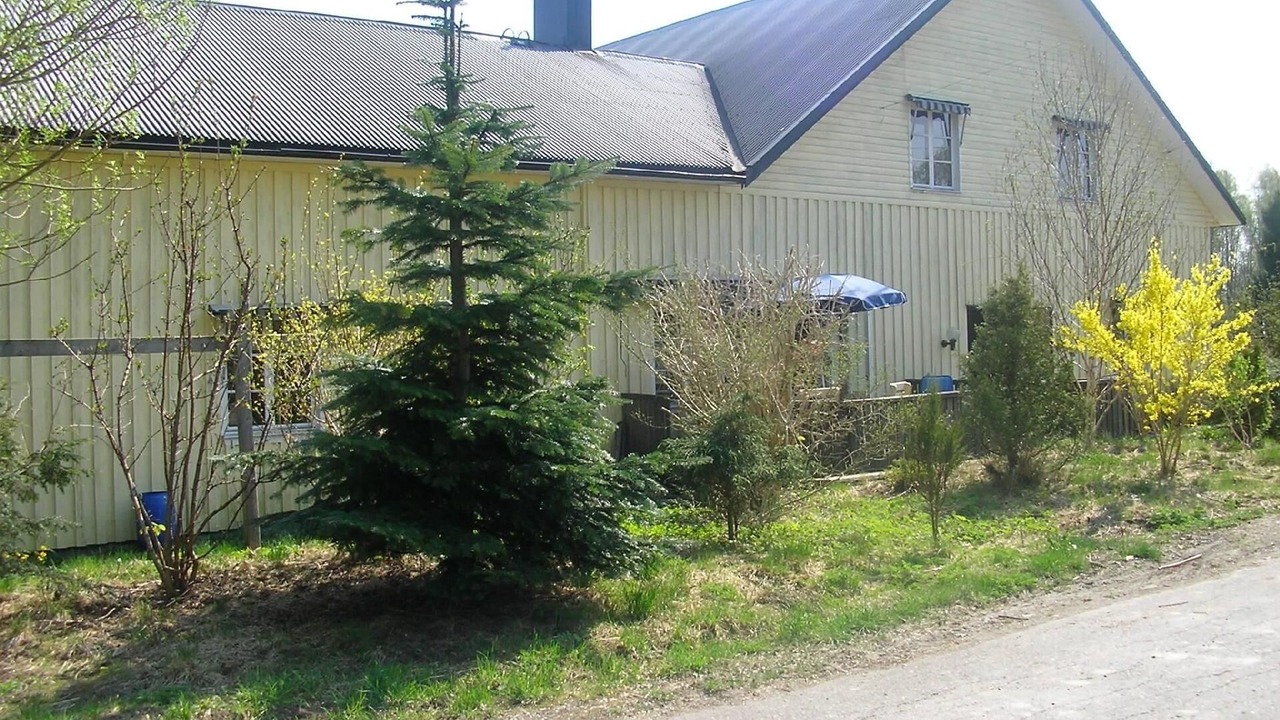 Photo of Outdoor in Hogsater