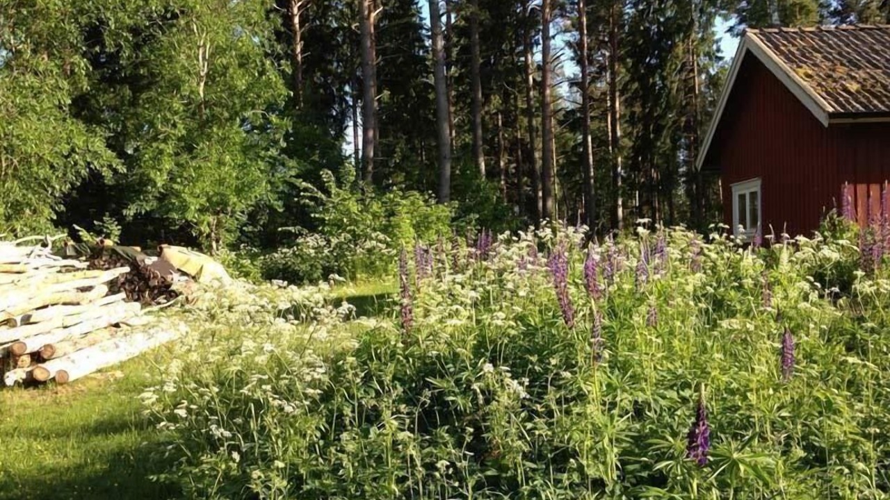 Photo of Outdoor in Kristinehamn