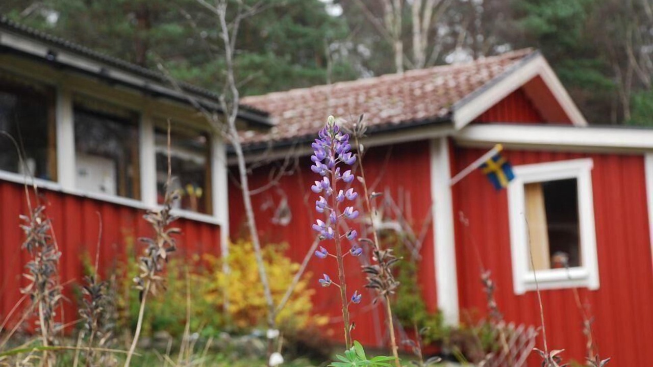 Photo of Outdoor in Svenljunga Municipality