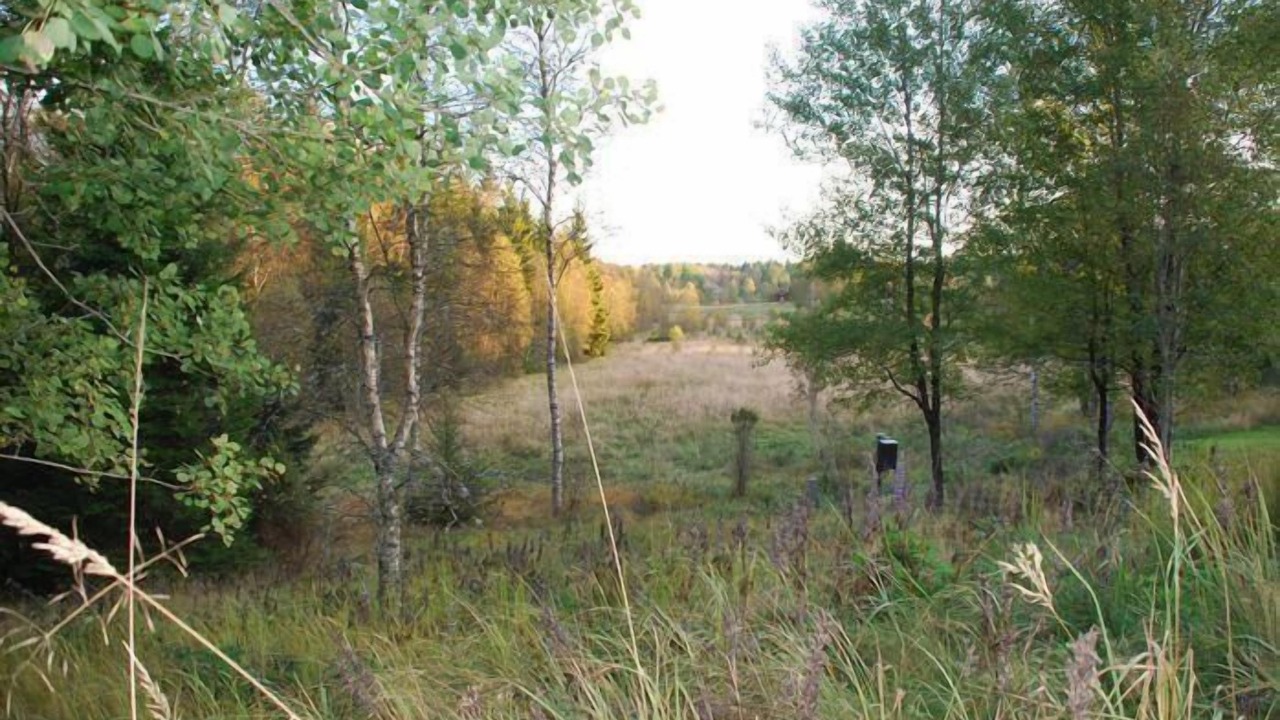 Photo of Others in Svenljunga