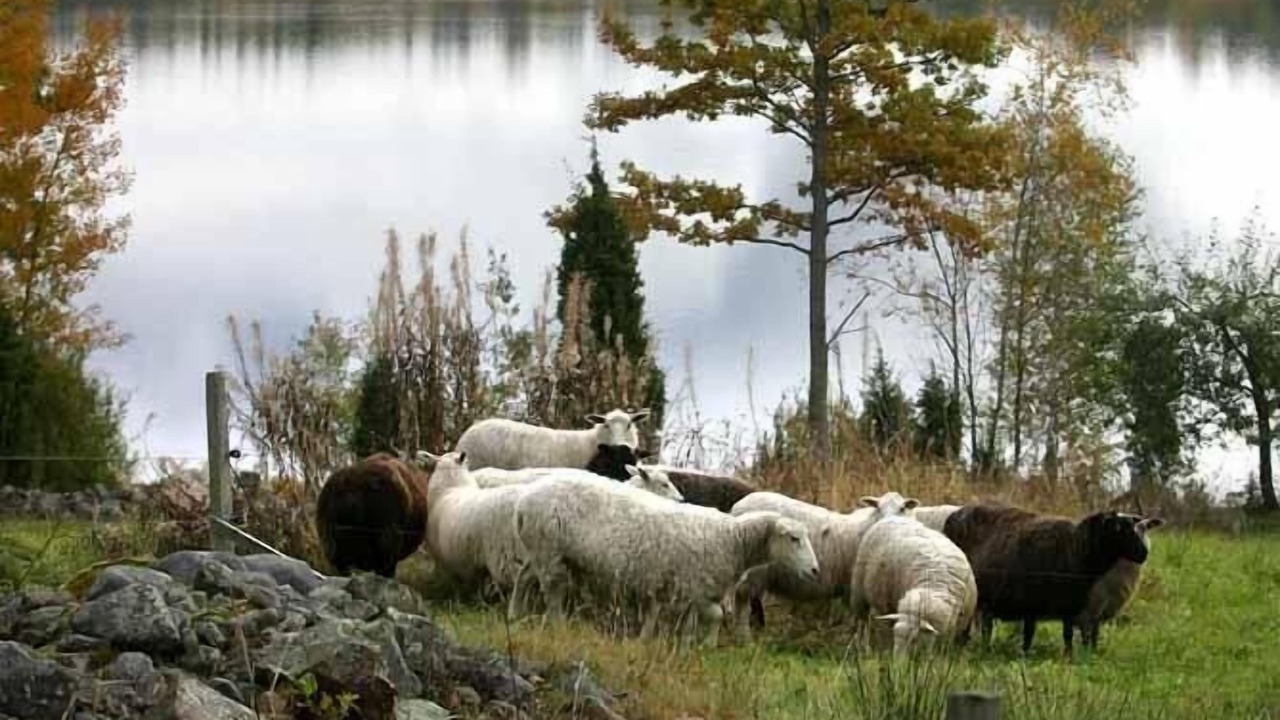Photo of Outdoor in Tviklippan