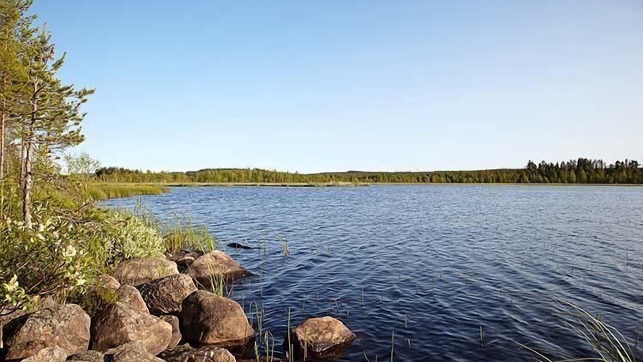 Photo of Others in Botsmark