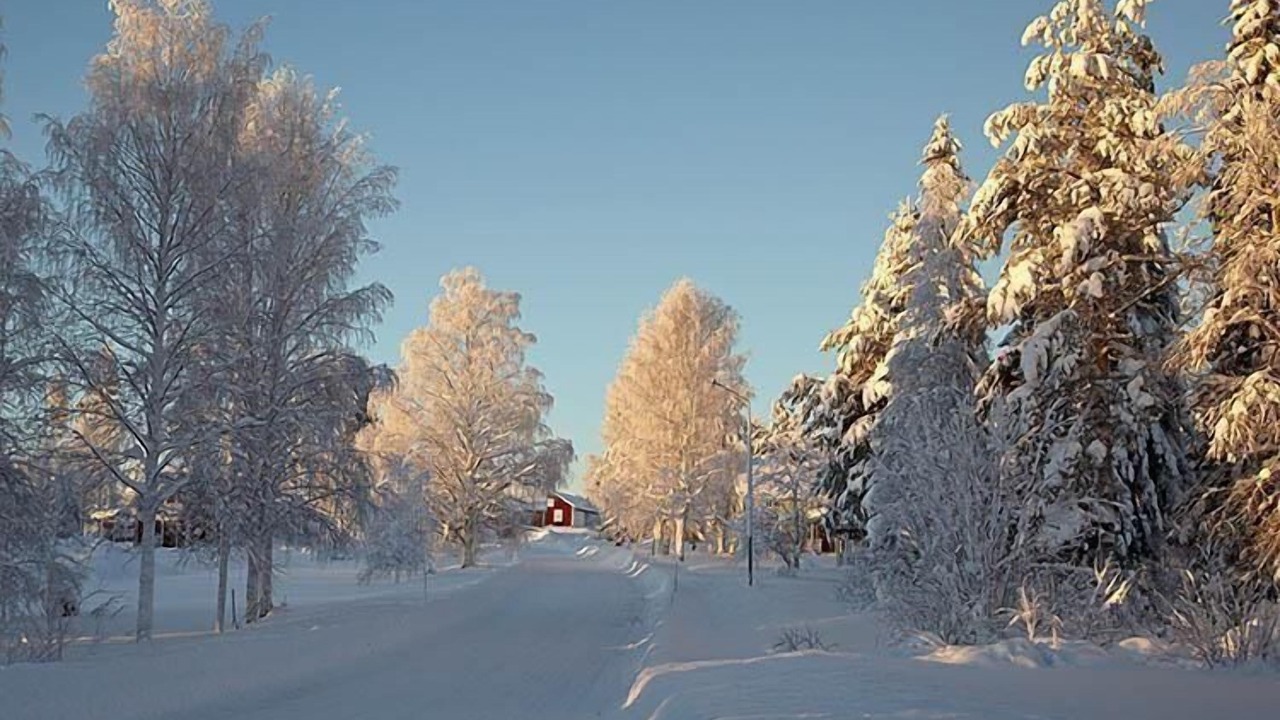 Photo of Others in Botsmark