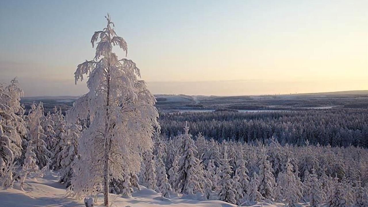 Photo of Others in Botsmark