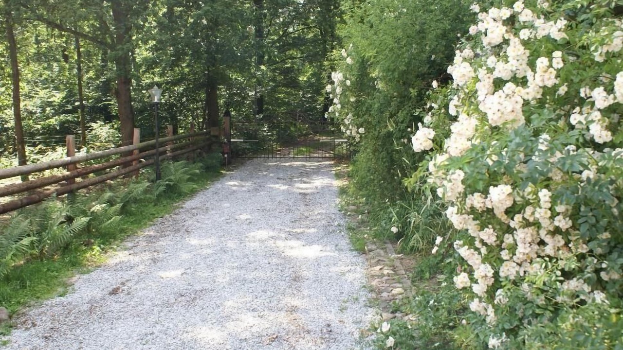 Photo of Outdoor in Hoor