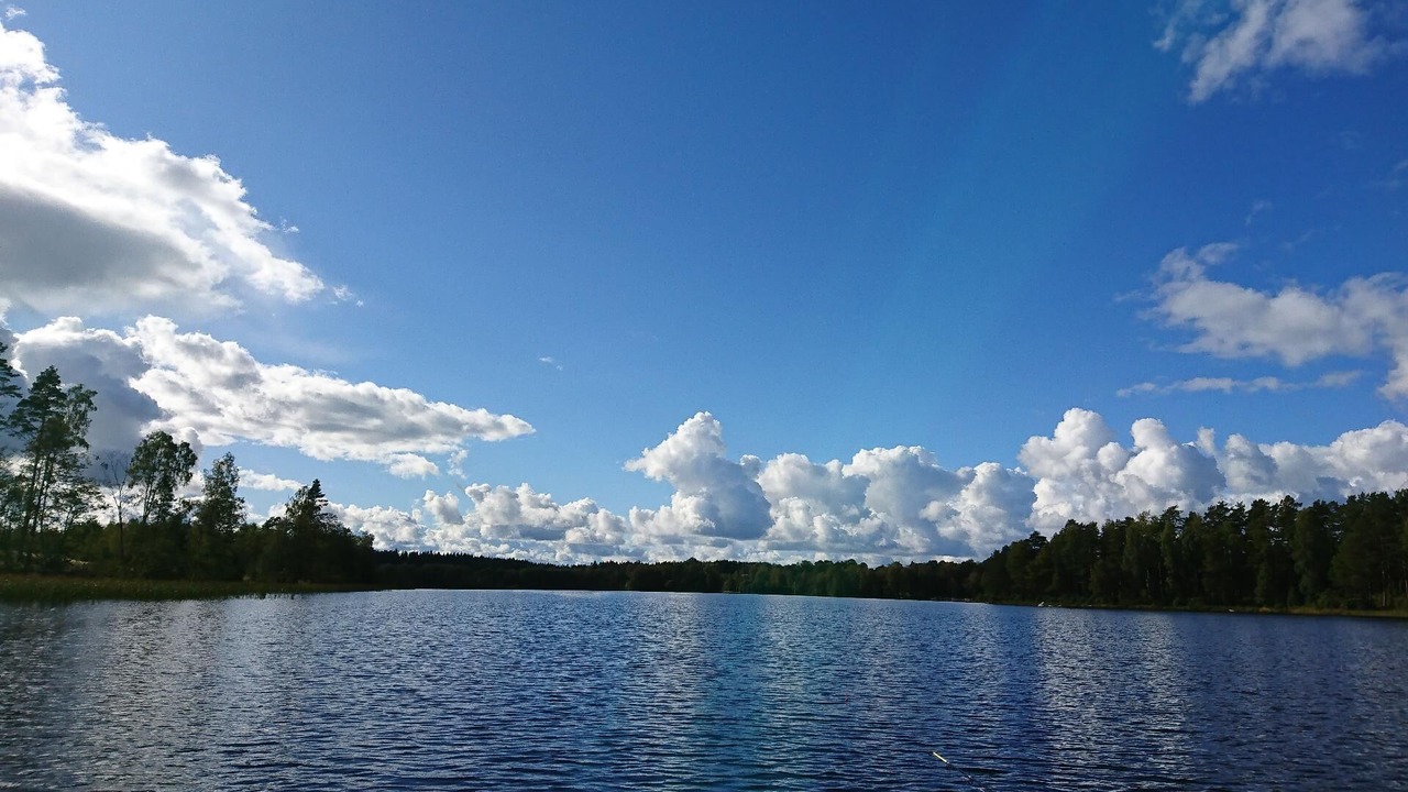 Photo of Others in Gallstad