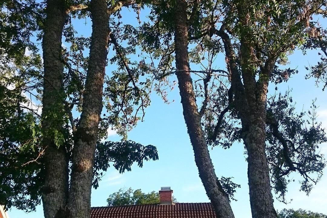 Photo of Outdoor in Oskarshamn Municipality