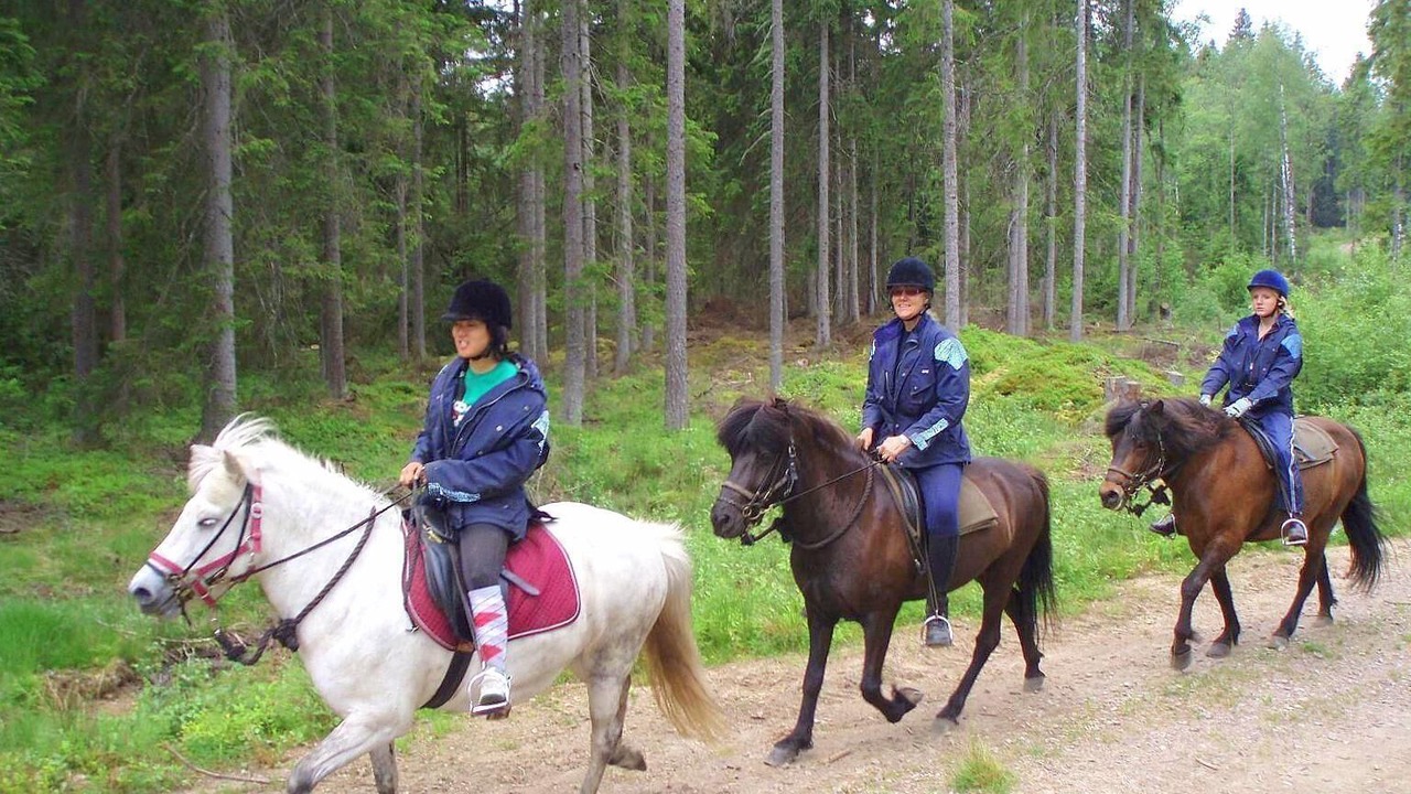 Photo of Outdoor in Ulricehamn Municipality