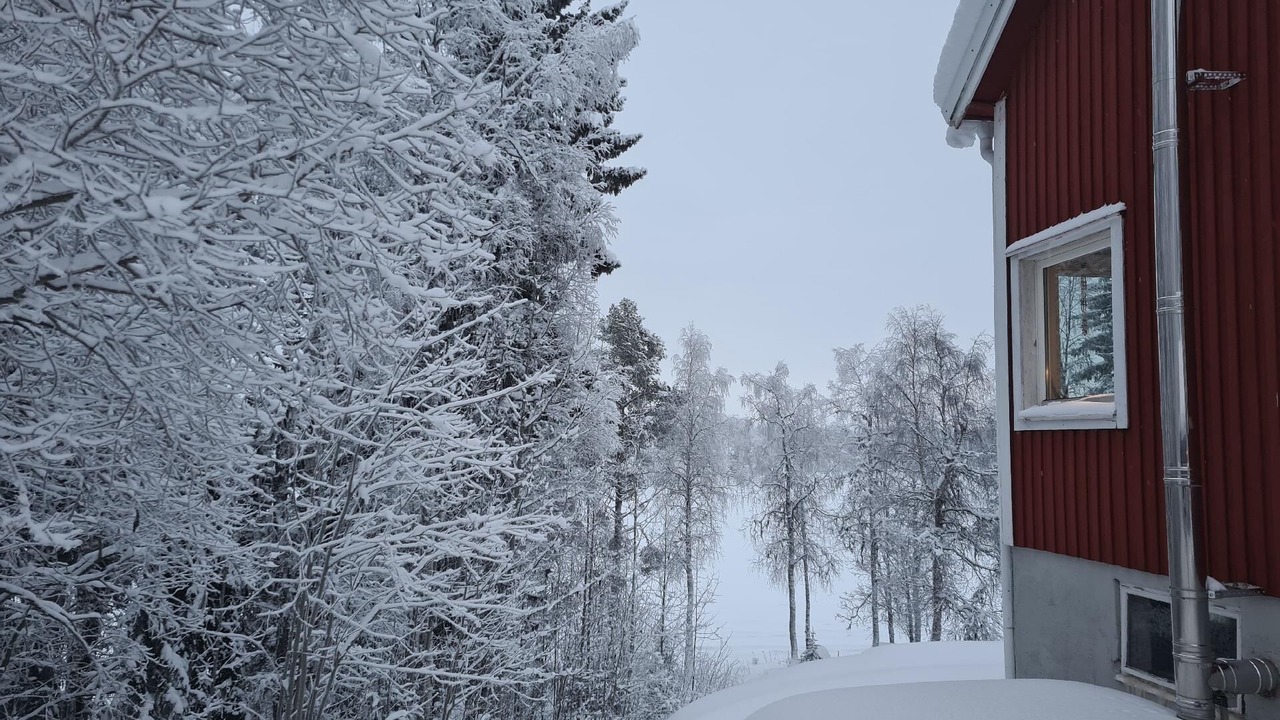 Photo of Outdoor in Abborrtrask