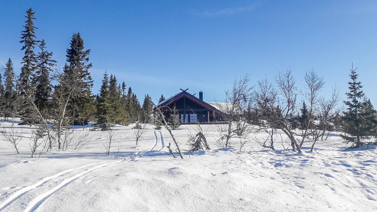 Photo of Others in Trysil