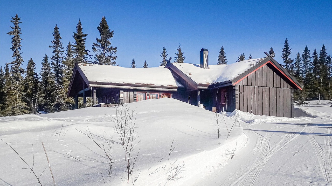 Photo of Others in Trysil