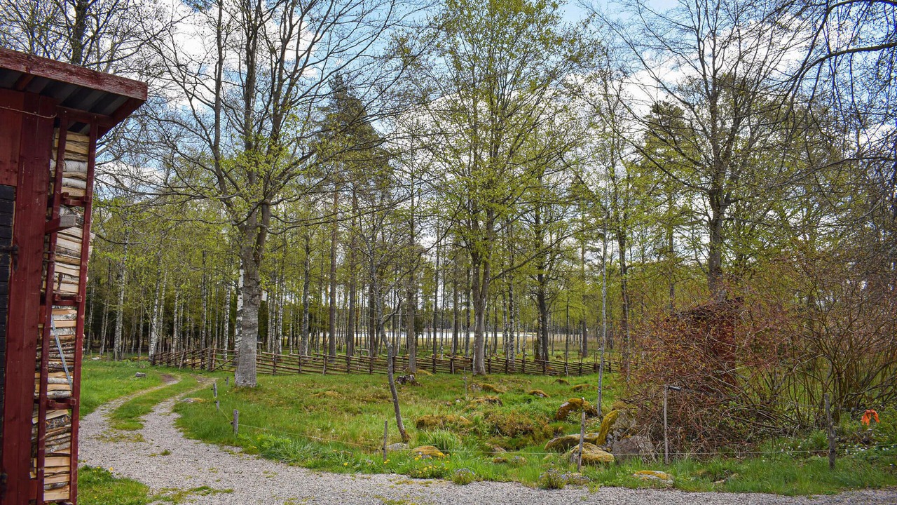 Photo of Others in Kraketorp