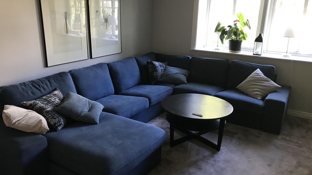 Photo of Livingroom in Alta