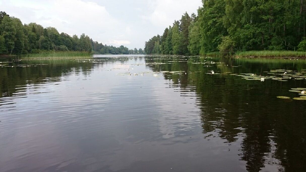 Photo of Outdoor in Silverdalen