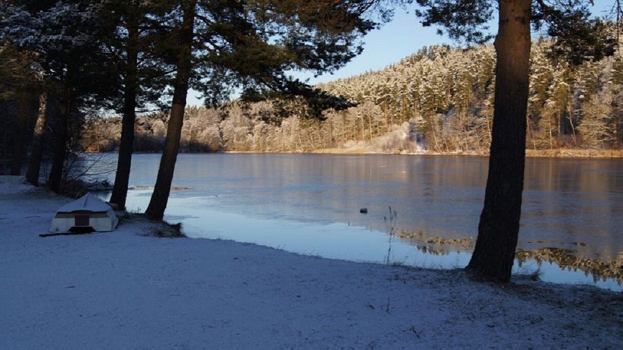 Photo of Others in Silverdalen