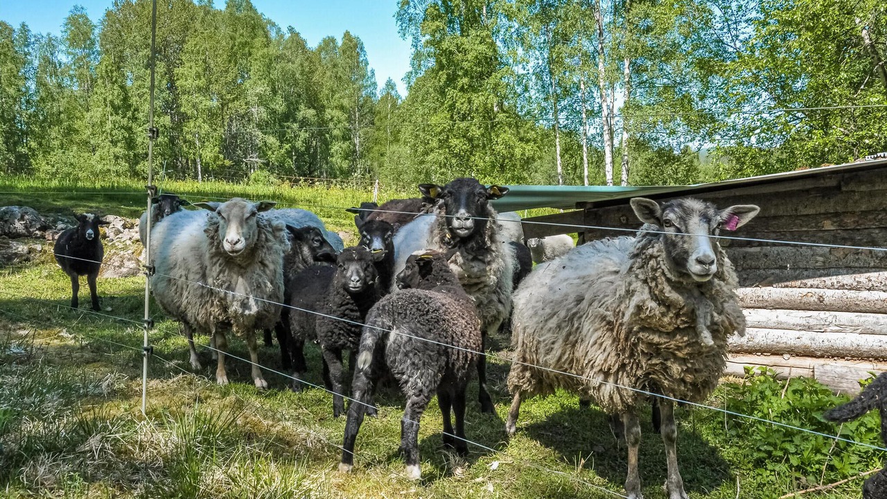 Photo of Others in Filipstad Municipality