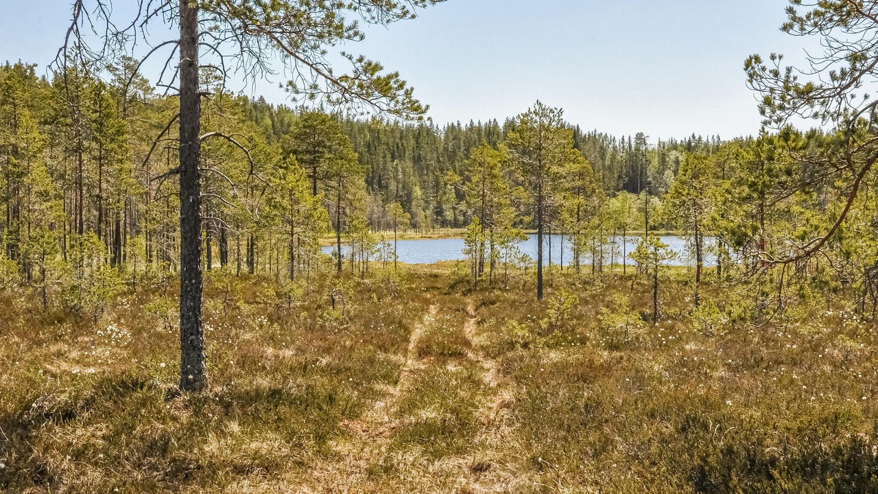 Photo of Others in Filipstad Municipality