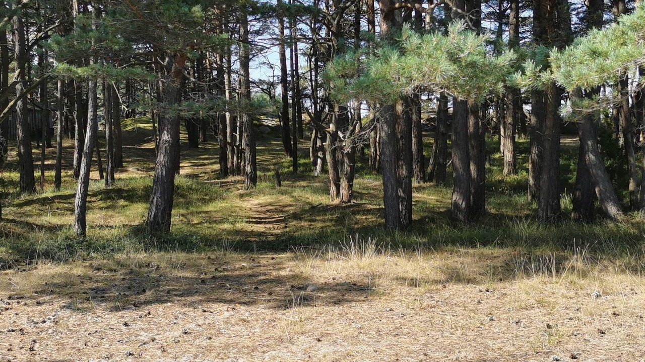 Photo of Others in Ellos