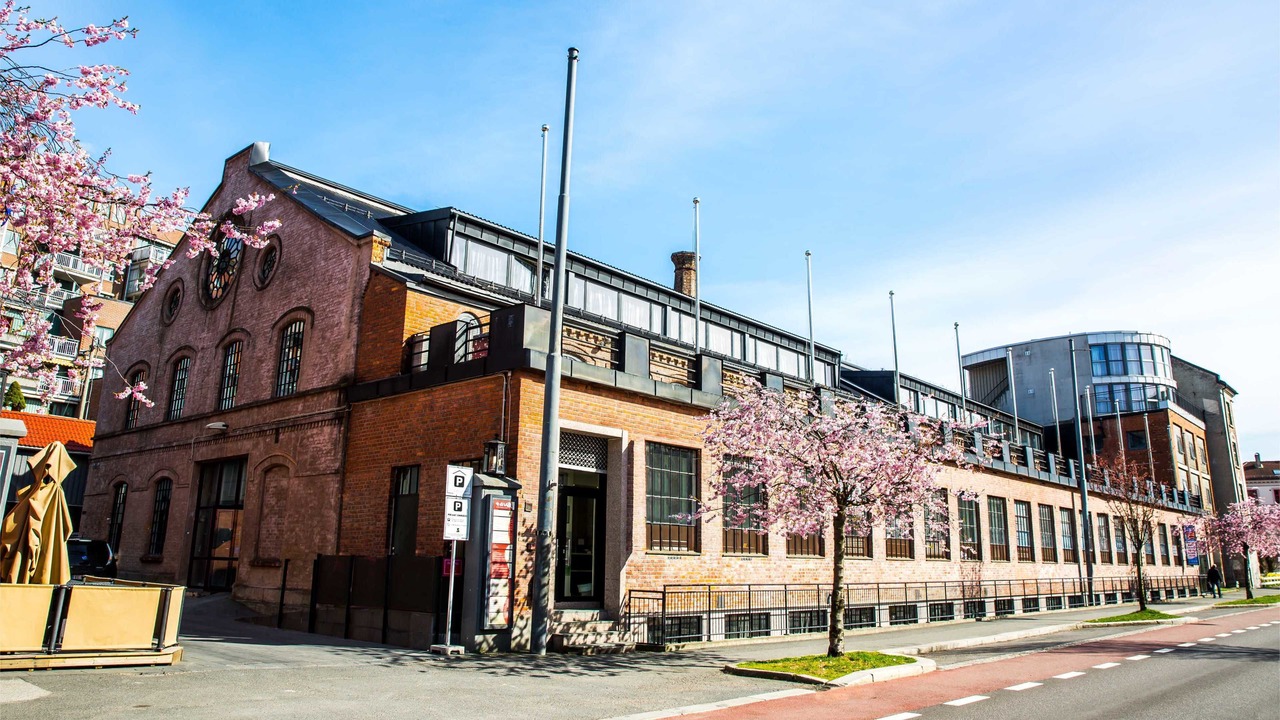 Photo of Outdoor in Toyen