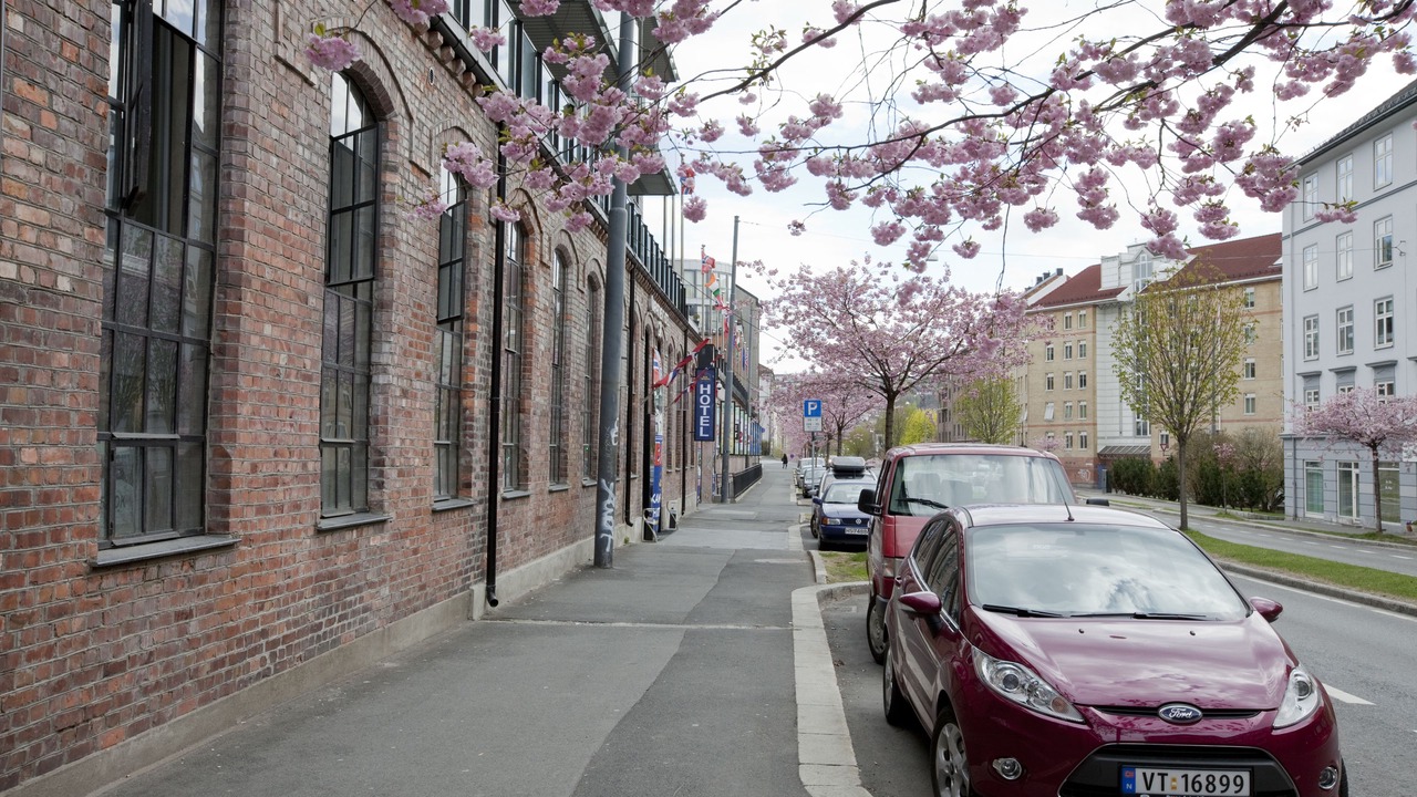 Photo of Outdoor in Toyen