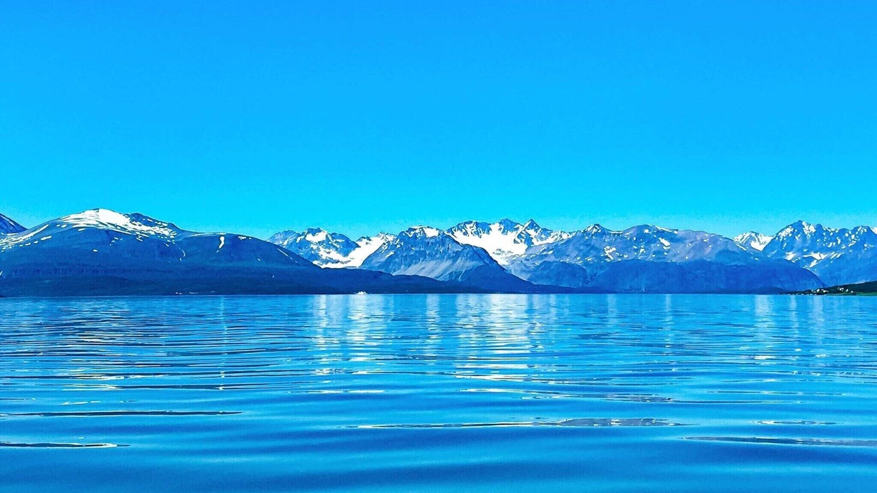 Photo of Others in Lyngen