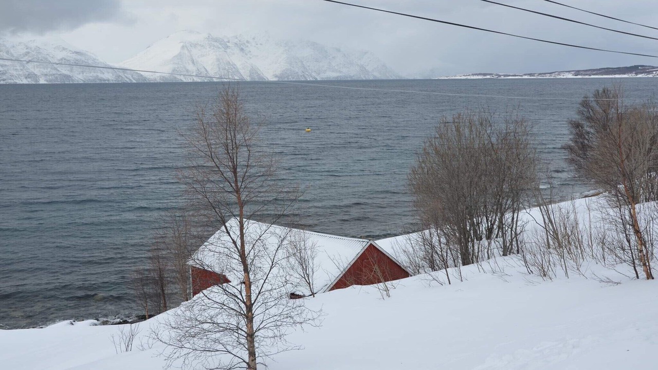 Photo of Others in Lyngen